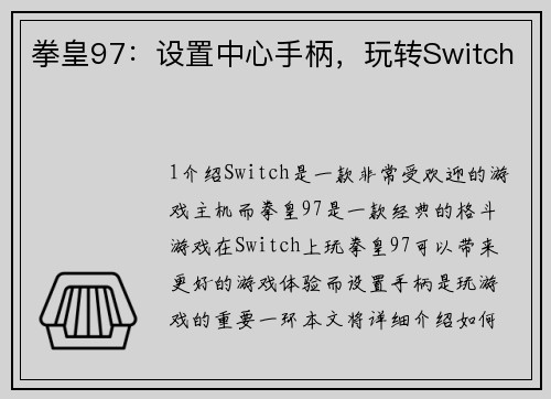 拳皇97：设置中心手柄，玩转Switch