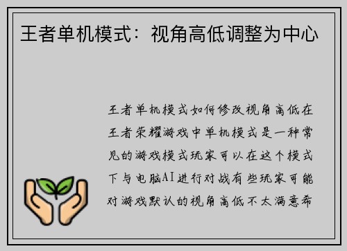 王者单机模式：视角高低调整为中心